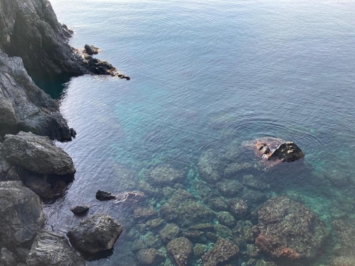 La Gemma Di Monterosso, In Centro Vicino Al Mare Apartment มอนเตรอสโซ อัล มาเร ภายนอก รูปภาพ